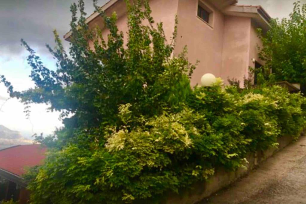 Ferienwohnung Il Panorama Altofonte Exterior foto